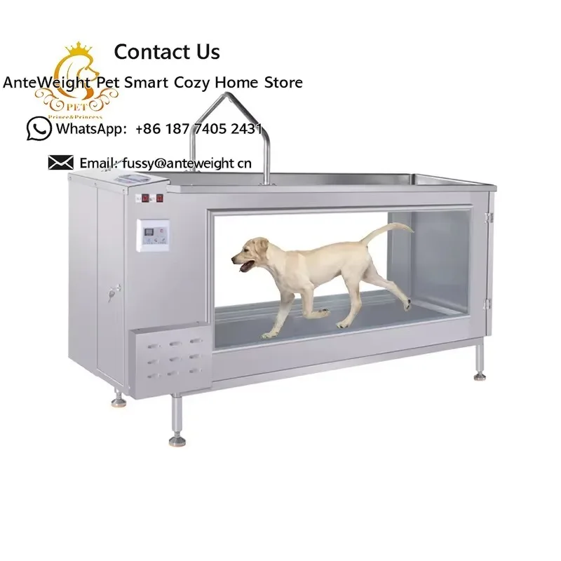 Water Pet Treadmill Electrical Dog Hydrotherapy Underwater Treadmill 110kg Max Load Bearing
