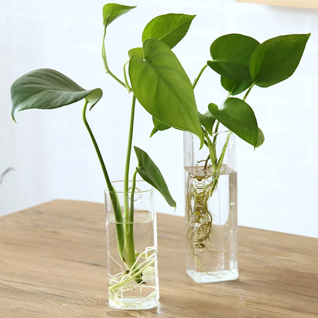 

Glass Wide Application Wall Hanging Flower Planter Pot With Durable And Sturdy Beautiful