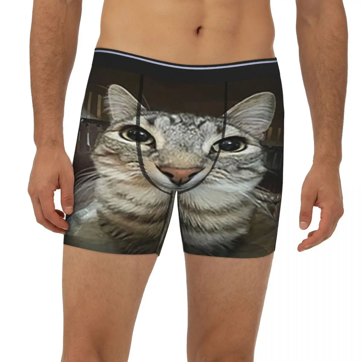 

Cat Looking Directly At You Long Boxer Underpants Short Men Panties Comfortable Underwear for Homme Man Boyfriend Gifts