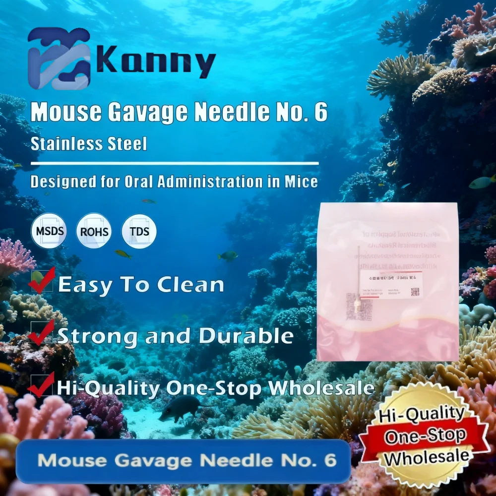 Mouse Gavage Needle No. 6 Stainless Steel Straight and Bent Tip for Laboratory and Research Original Product