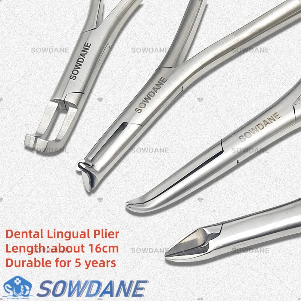 

Long Handle Dental Orthodontic Lingual Plier Cinch Back Forcep Weingart Plier Wire Cutter Wire Plier Bending Plier 16cm Length