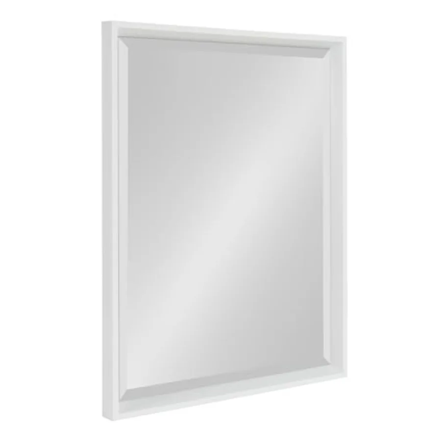 

Calter Modern Decorative Framed Beveled Wall Mirror 20 x 26 Contemporary Rectangle Vanity Mirror for Use as Bathroom Mirror for