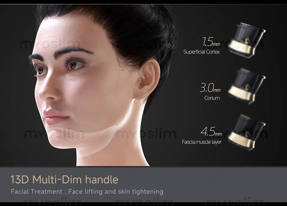 22D MAX HIFU Schönheitsgerät Professionelles Gesichts-Hautstraffungs-Lifting-Schlankheitsgerät zur Körperfettreduktion Salon-Ausrüstung – Detail 18