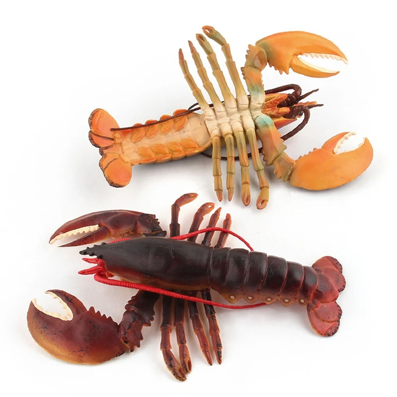 Realistic Marine Simulation Lobsters Model Australian Lobster Boston Lobster Action Figures Toy For Kid Gift