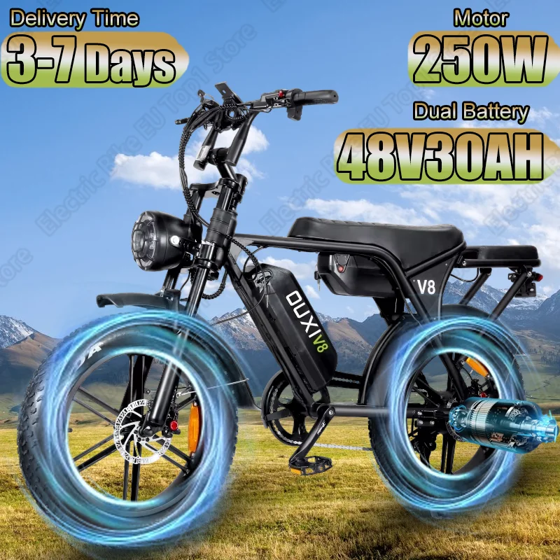 E Bike 250W Brushless Motor 48V30AH Lithium Battery Electric Bicycle Double Disc Brake 20*4.0 Inch Fat Tire Adult Electric Bike