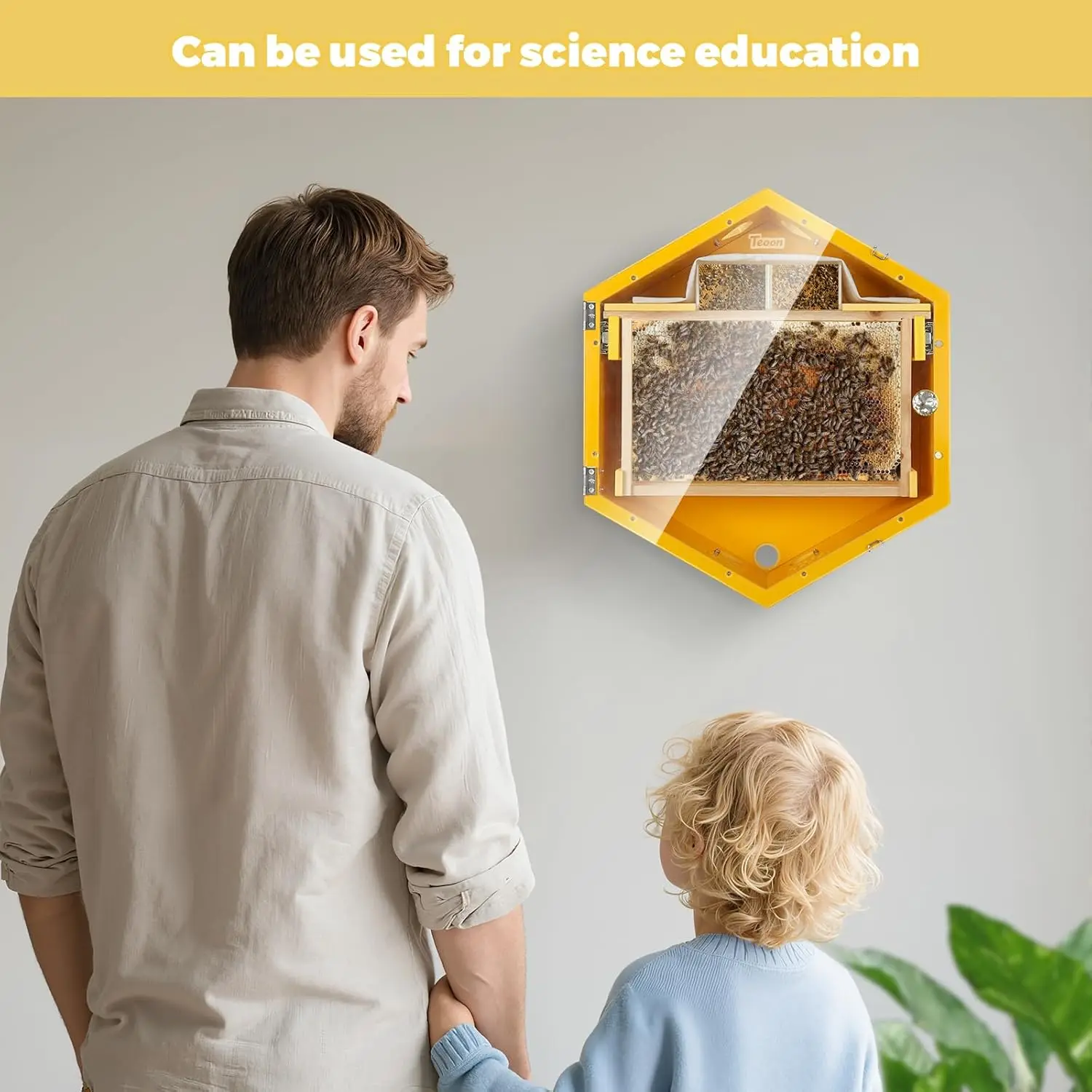 Beekeeping Observation Beehive Starter Kit Wall-Mounted Hexagon Bee Hive