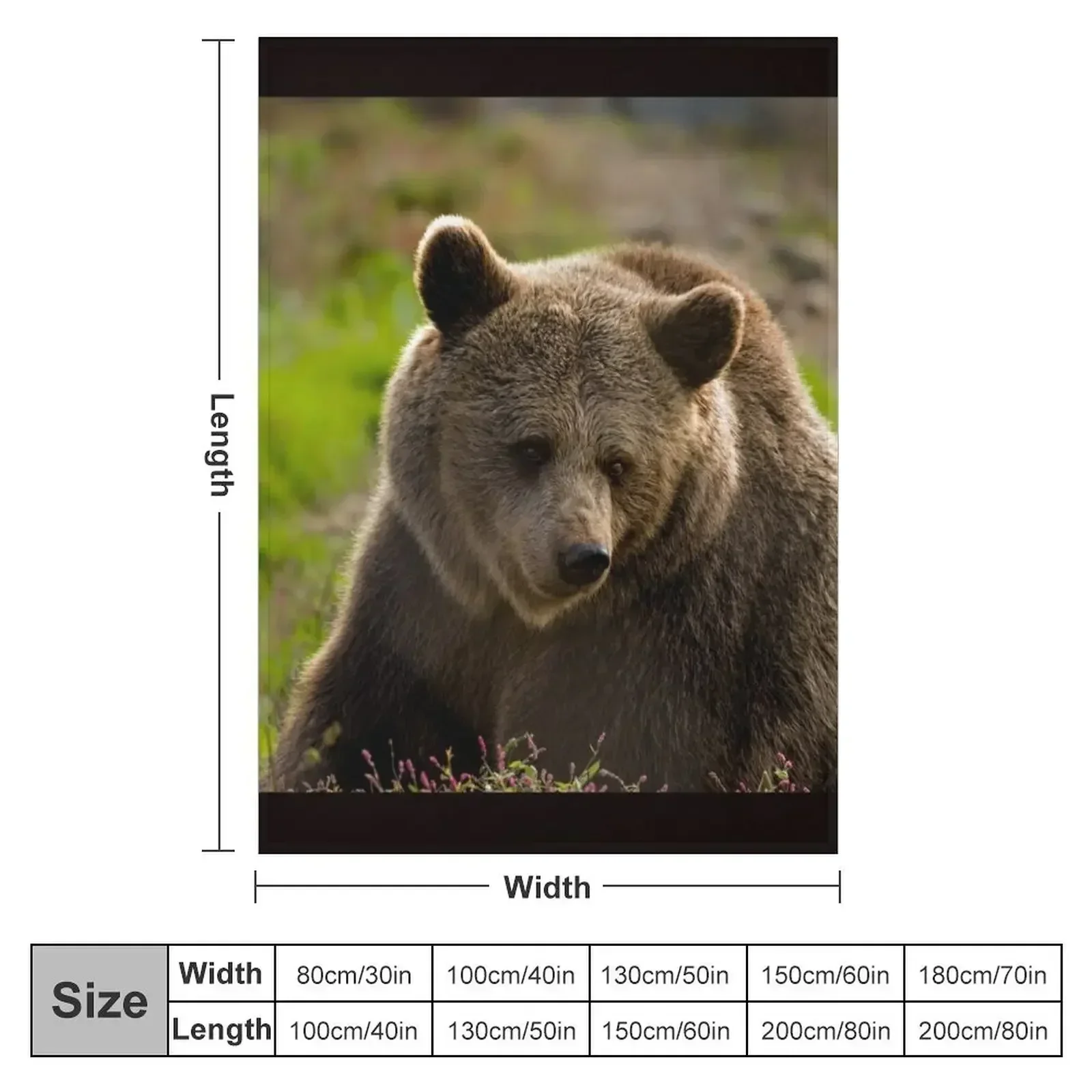 Beautiful grizzly bear Throw Blanket Summer Beddings Bed Flannel Fabric warm winter warm for winter Picnic Blankets