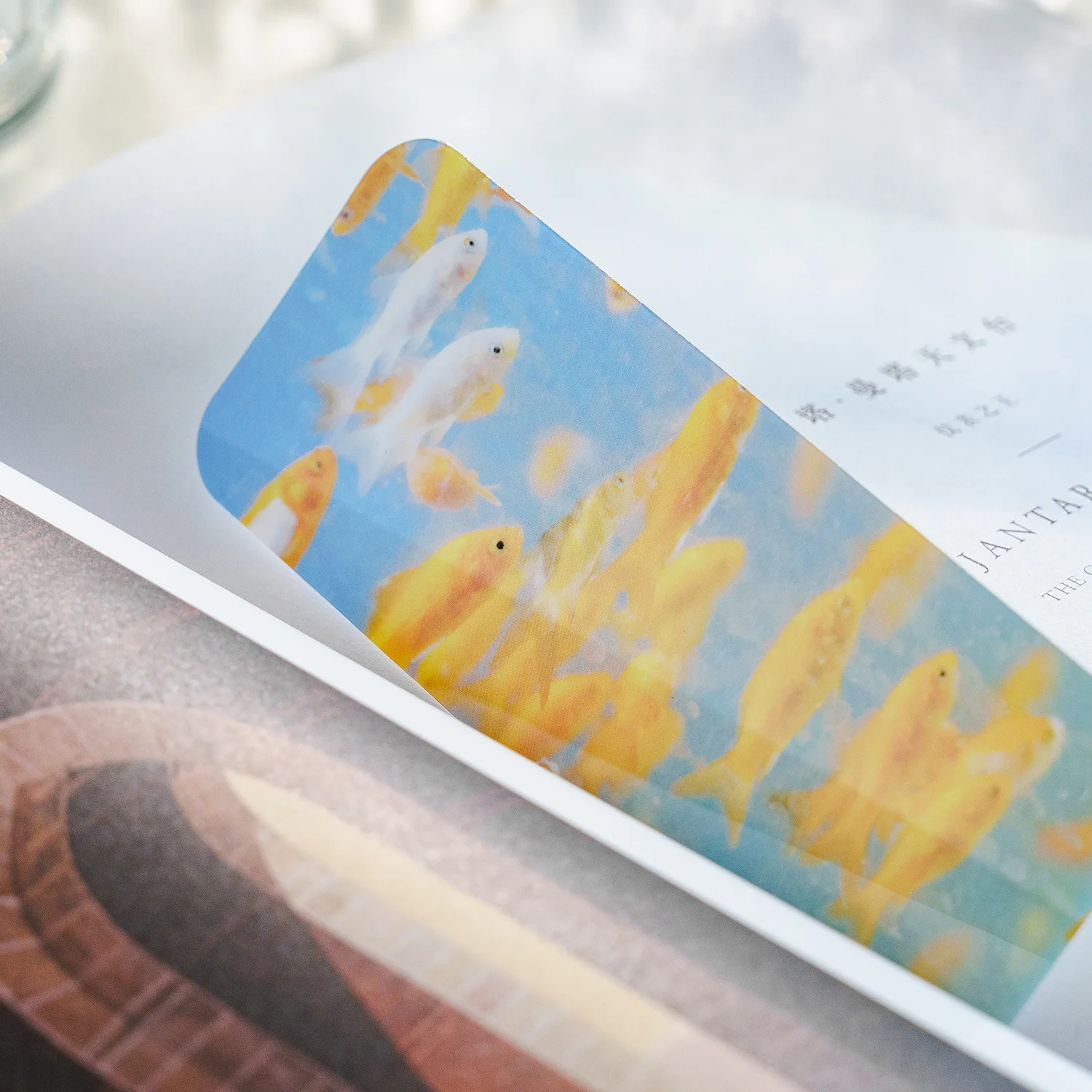 Summer Fireworks Bookmark Multi-purpose Art Pocket Bookmark PET Translucent Art 5 Pieces Design Material Origin Type