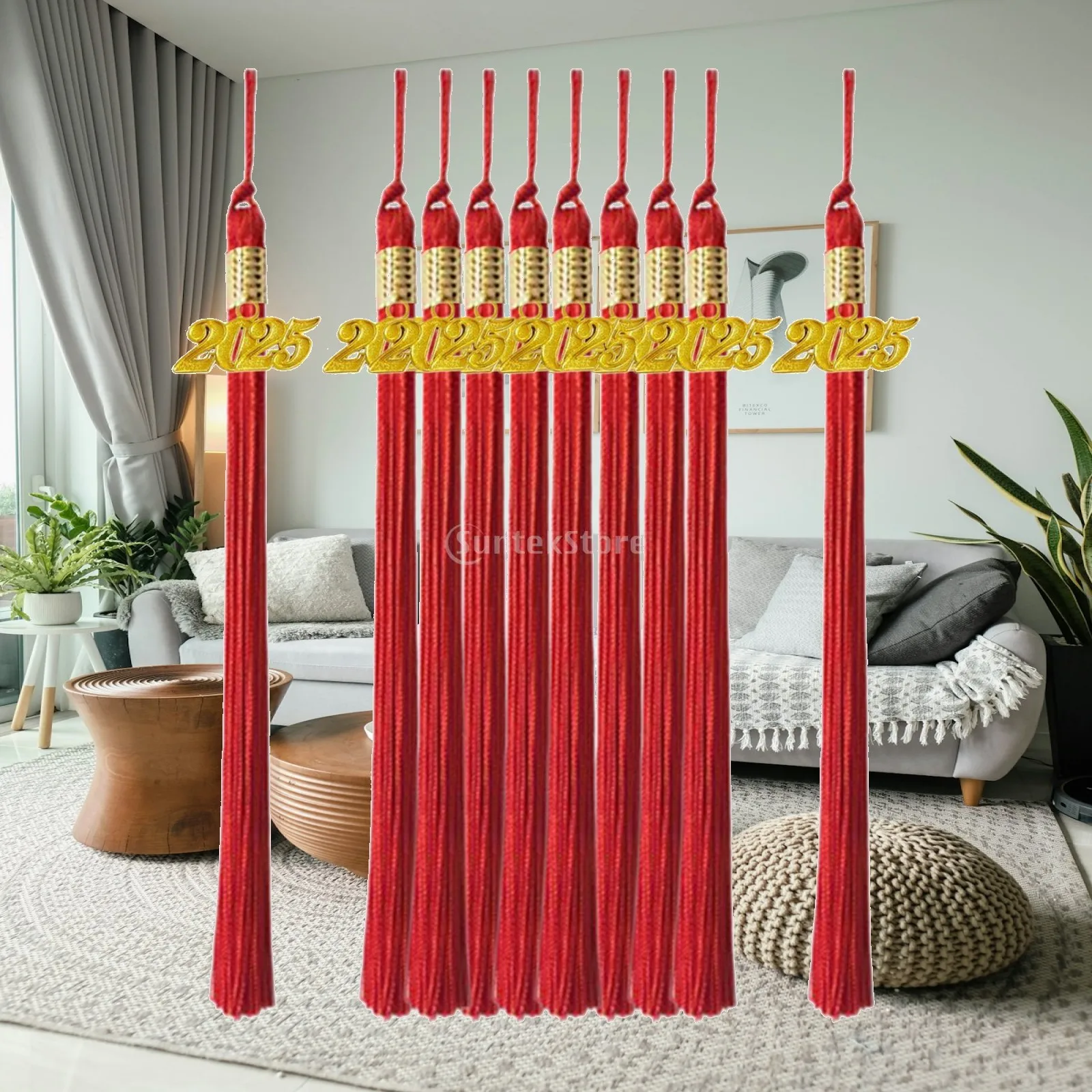 10 Pieces Graduation Tassels Souvenir Academic 2025 Grad Decoration Party Supplies for School Pendant Graduation Cap Tassels