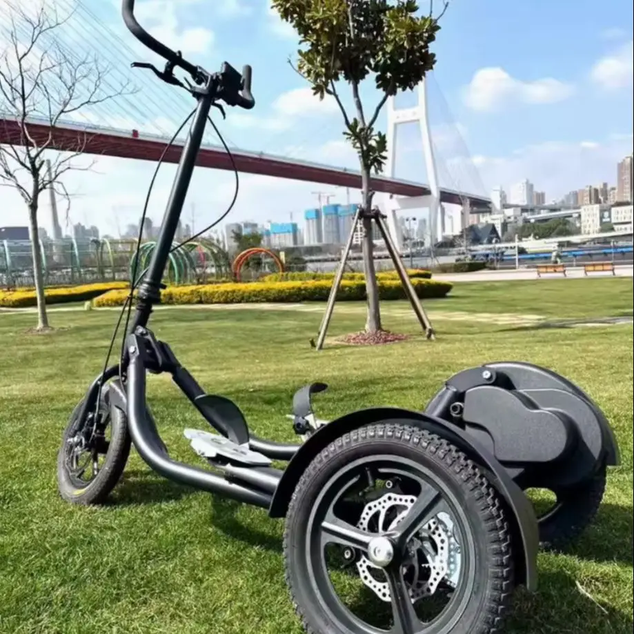 SRJOINfit Step Fitness Bike Upright Pedal Bike Foldable Internet Celebrity Fitness Step Bike Three Wheel Bike
