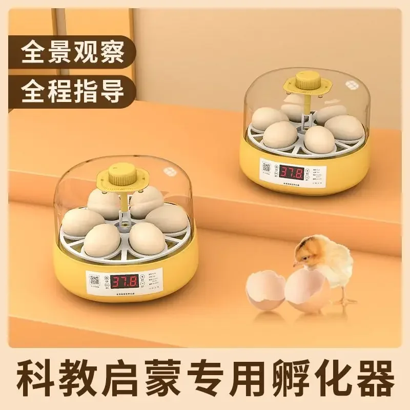 

Incubator Small household mini fully automatic rutin chicken water bed intelligent incubator Children's