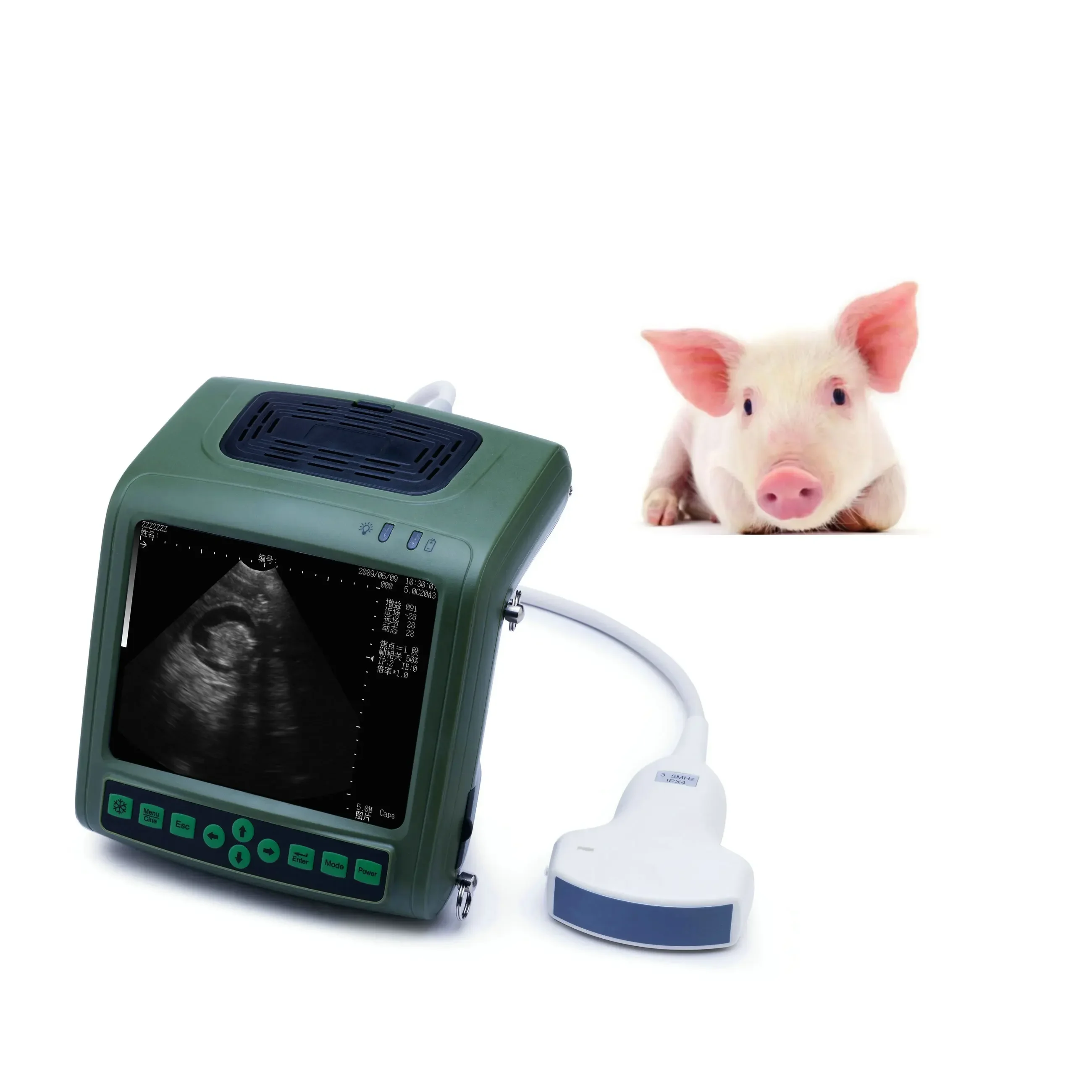2026 Handheld cheap portable kaixin veterinary instrument ultrasound sheep pig ultrasound scanner
