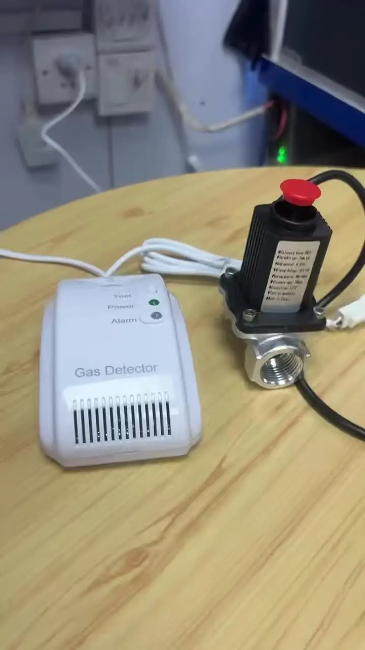 Detalhe 1 de Válvula solenoide Home Kitchen Gás e combustível