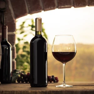 12 최고의 판매 와인 병 커버 - №7