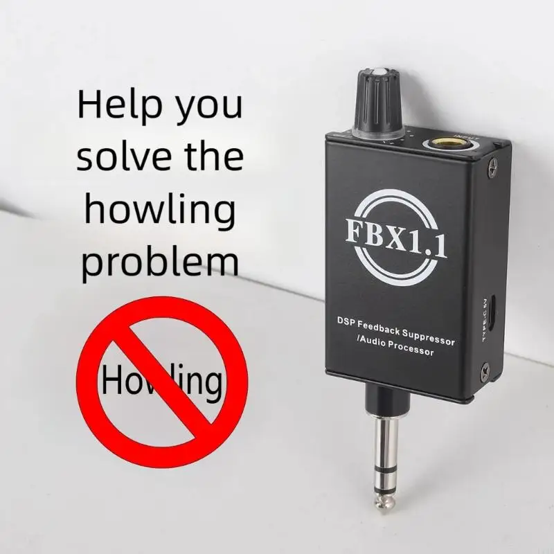 

Portable Auditory Precessor Feedback Suppressor For Wireless Microphones Prevents Auditory Howling In Live Performances F19E