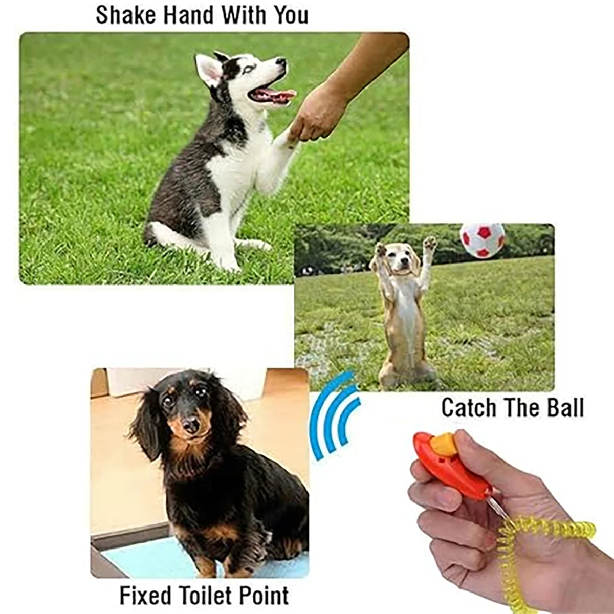 Thumbnail 3 - #3 Trending Pet Training Clicker Right Now
