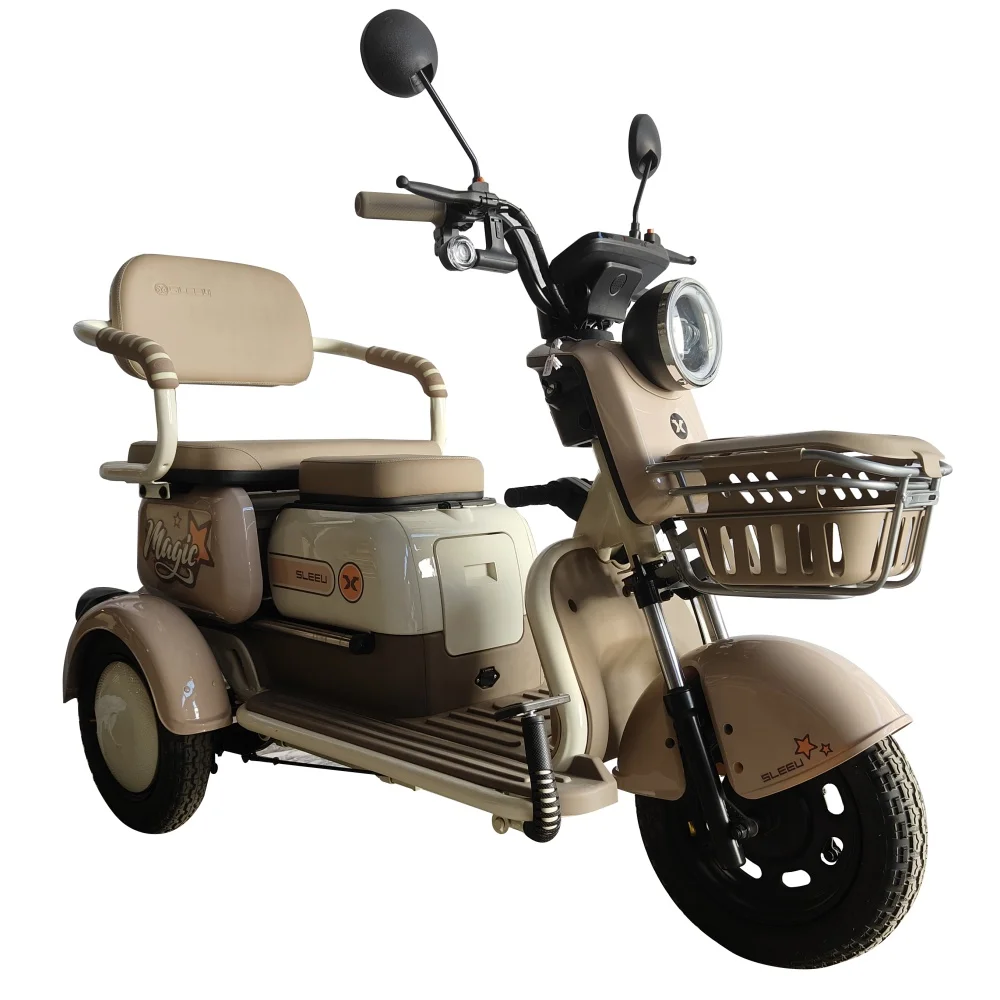High-End Electric Tricycle From China Light Weight Electric Three Wheel