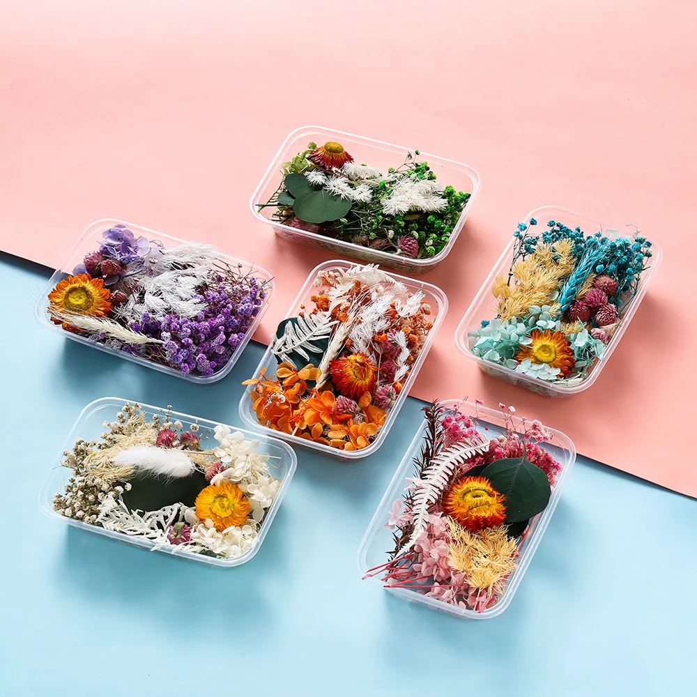 1set Hot Selling Eternal Flower Dried Flower Material Pack DIY Mini Embossed Box Frame Fan Aromatherapy Dropping Material Pack