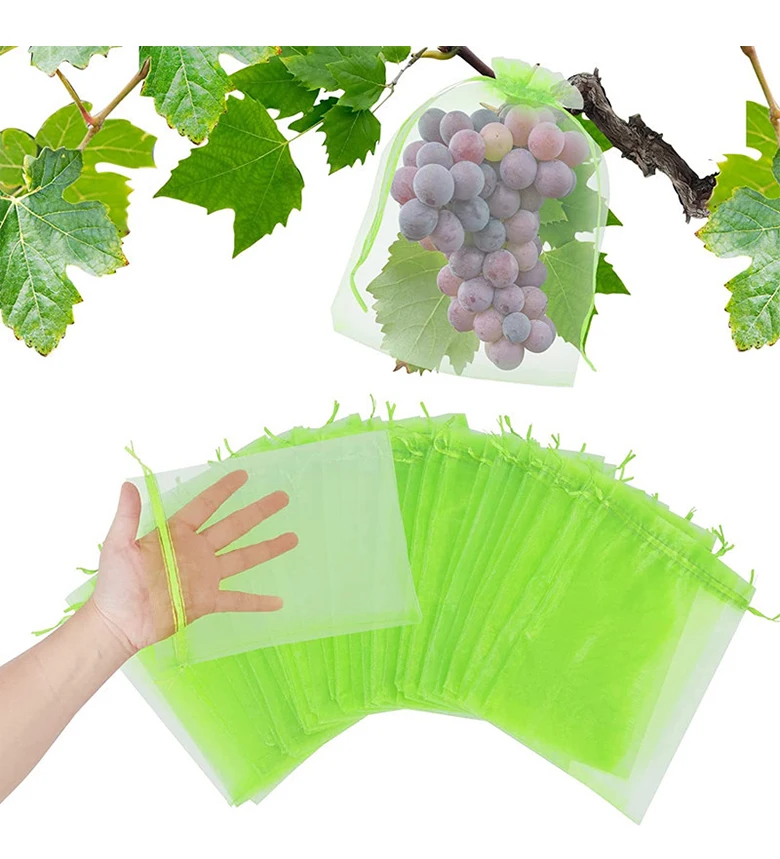 20-100 stücke Erdbeere Trauben Obst Wachsen Taschen Netting Mesh Gemüse Pflanzen Schutz Taschen Für Schädlingsbekämpfung Anti-vogel garten Werkzeuge – Detail 2