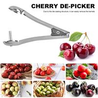 Practical Cherry Pitter Gadgets Fruit Pit Core Remover Stainless Steel Kit for Home Kitchen Hand Press Accessories