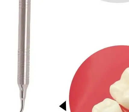 

Minimally Invasive Dental Extraction Tool Root Tip Pick Elevator Sharp Tip for Tooth Extraction Implant Surgery