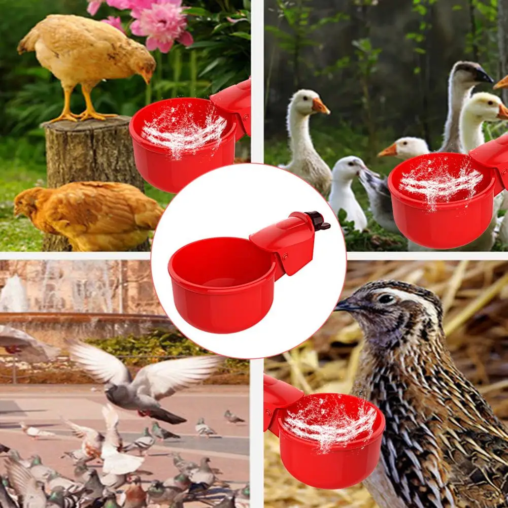 Practical Chicken Drinking Bowls Automatic Water Dispensing Plastic Bite Resistant Chicken Drinker Poultry Accessories