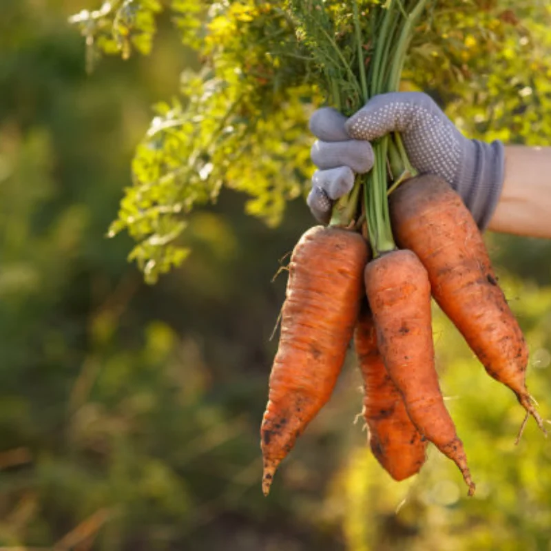 

W201 Универсальный металлический обод + набор шин для тягача Tamiya 1/14 RS Red Spider RC Cars и т. д. - высококачественный материал из алюминиевого сплава