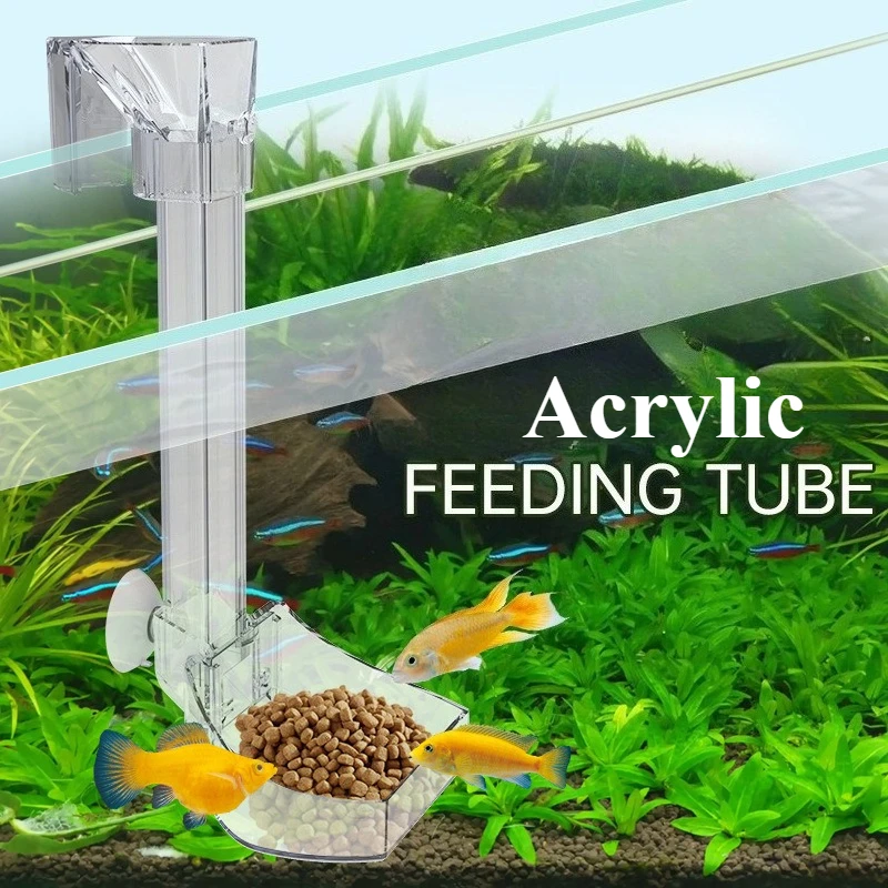 Aquarium Acrylic Feeding Tube Fish Tank Feeder Dish Fixed Point Feeding Supply Shrimp Food Feeding Ring Bowl
