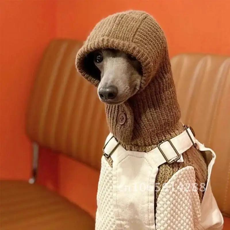 

Wool Hat Small for Dog, Italian Greyhound Collar, Pet Small Gift, Headband Dog, Tzu, Bichon, Shih Sweater, Maltese,