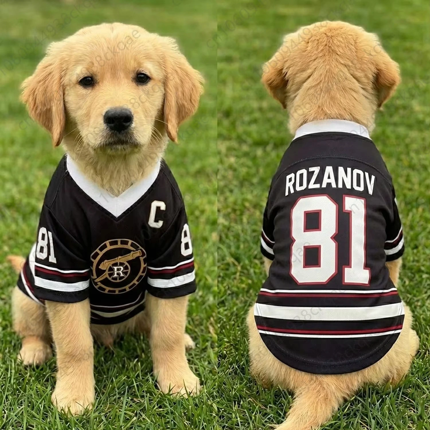 Dog Football Jersey Breathable Pet Sports Uniform Number Dog Shirt Summer Cool Puppy Clothes for Walking Training Outdoor Sporty