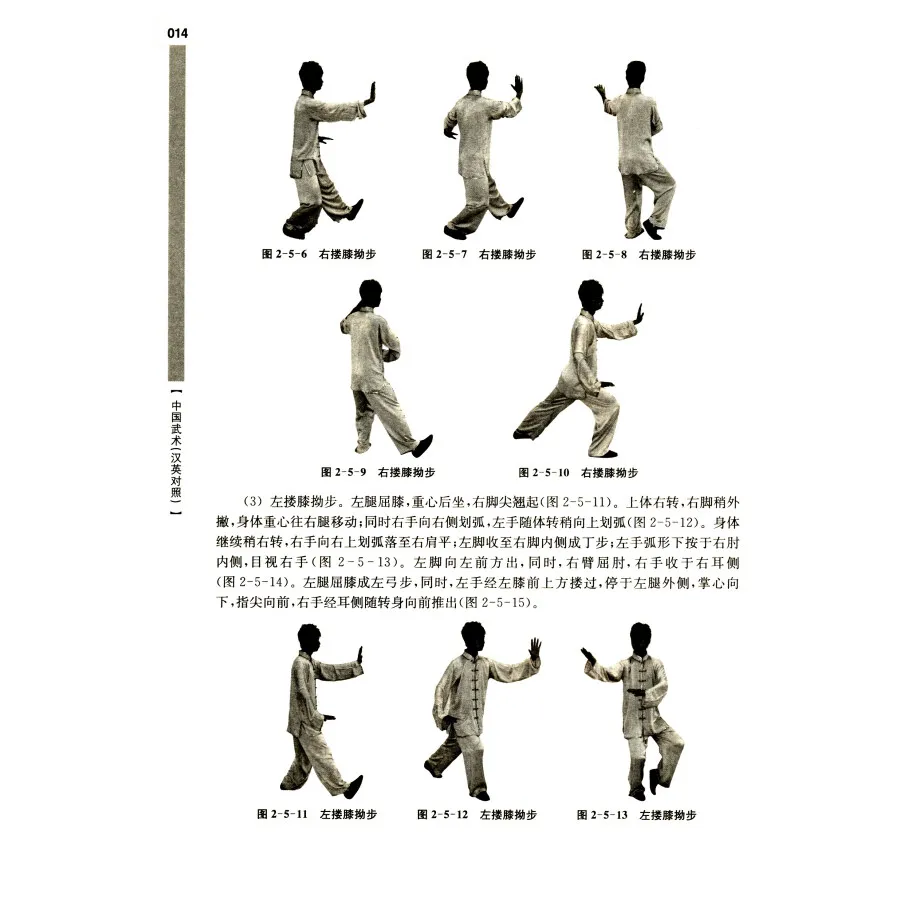 Bilingual Chinese Martial Arts Wu Shu Kung Fu Book by Dai Guobin in Chinese and English