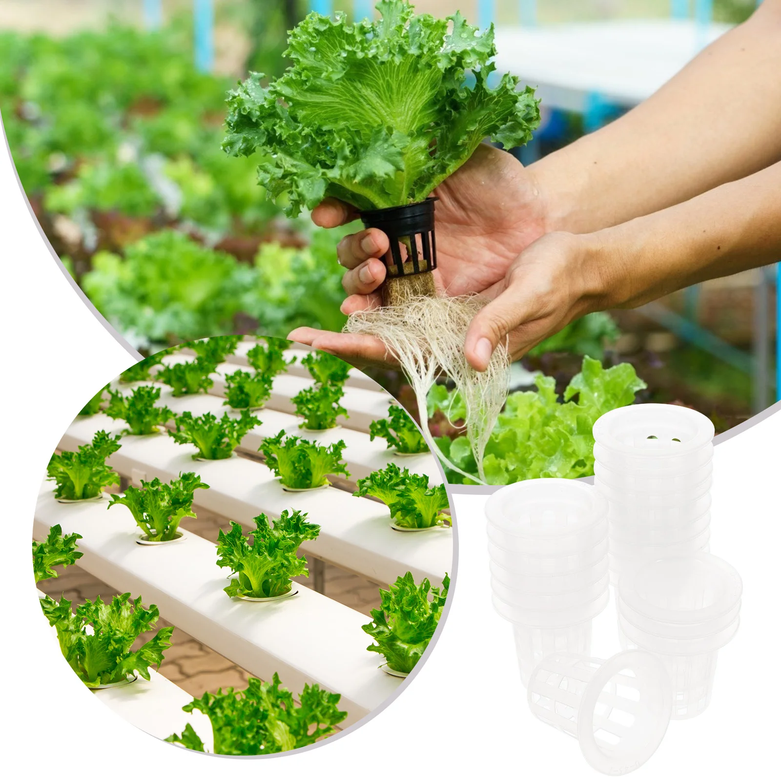 

100pcs Hydroponic Planting Baskets Net Pots PP Material Durable Corrosion Resistant Garden Mesh Cups For Home Balcony Terrace