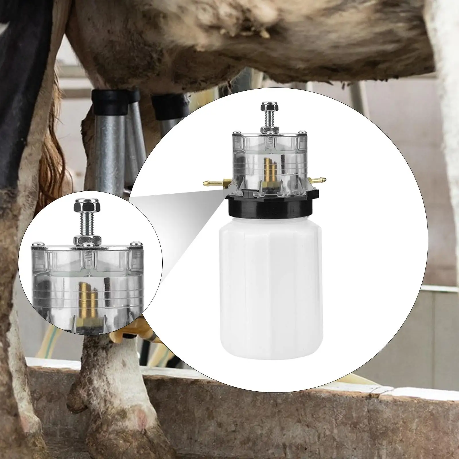 

Масляная банка для доильного аппарата Легкая герметичная сменная банка для доельного масла