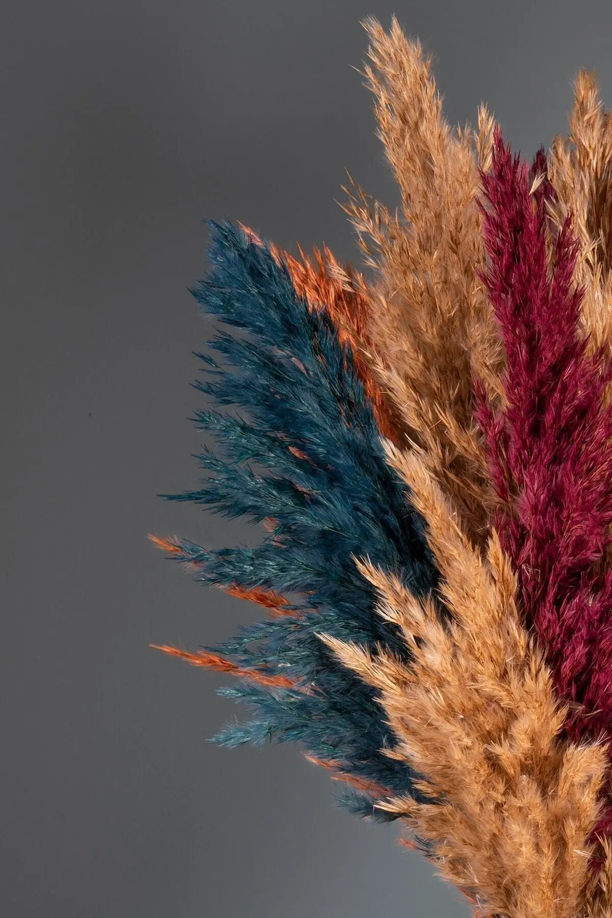 Autumn Color Shocked 16 Pack Pampas Grass 100cm