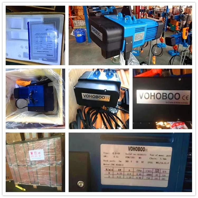 2025 حار HH النوع الأوروبي رافعة سلسلة كهربائية لرفع 250 كجم 500 كجم 1 طن 2 طن مع المحدد #5