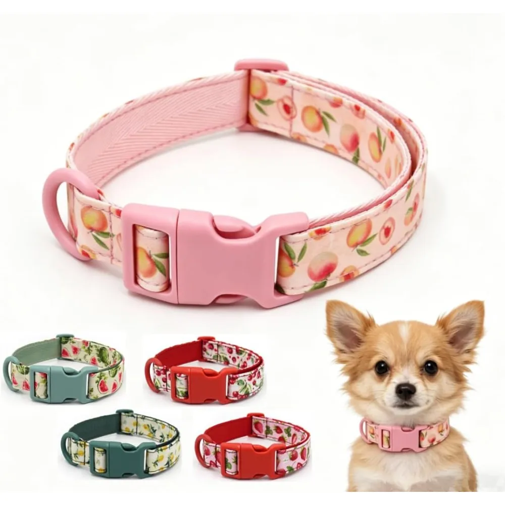Personalised Dog Collar for Male Female Dogs Fruit Pattern Engraved Pet Collars with Name Personalized Collar for Puppy Kitten