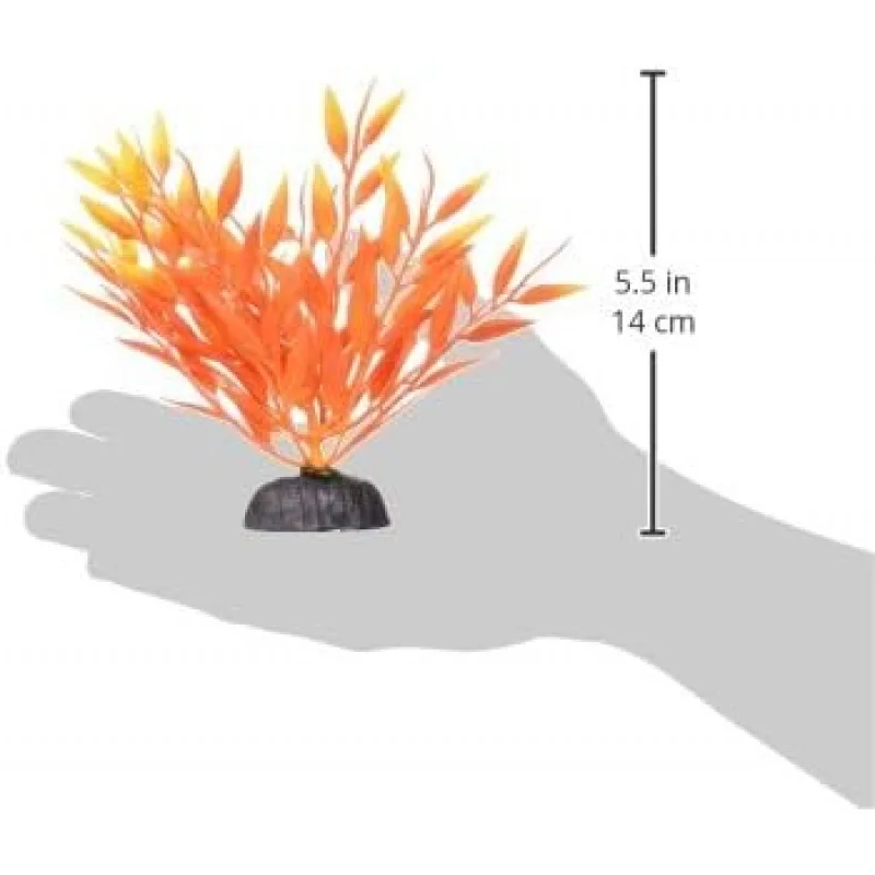 نبات مارينا بيتا فاير جراس البلاستيك، 5 بوصة #4