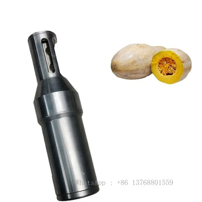 110v-220v Portable Hand-Held Electric Taro Pumpkin Electric Peeler Coprinus Comatus Melon Peeling Machine