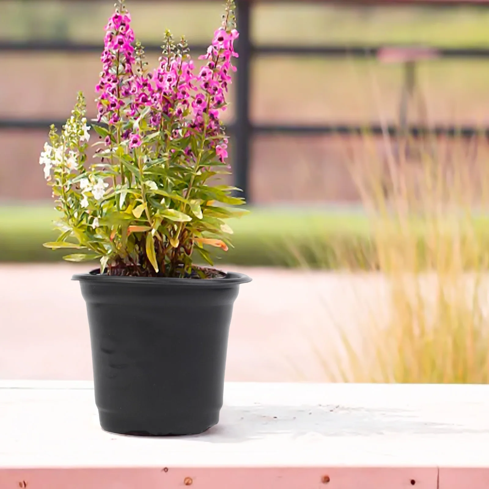 10*7*8.7 سنتيمتر أواني الزهور البلاستيكية أواني الصرف الفعال للنباتات صديقة للبيئة وعاء الحجم الأمثل للنباتات الصغيرة #4