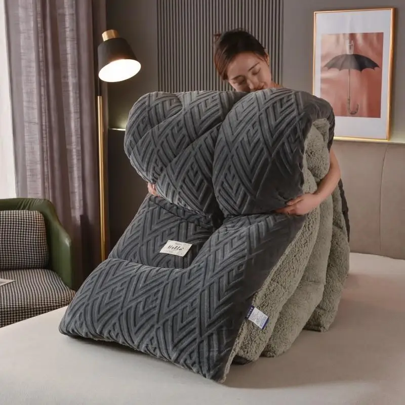 Thickened Lamb Velvet Blanket Double-Sided Milk Velvet Warm Cotton Blanket Dormitory Single Bed Core Spring Autumn Winter Quilt