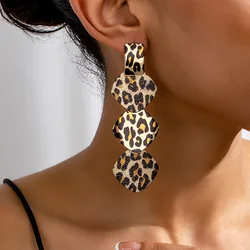 Long Earrings For Women Fringed Leopard Print Geometric Ear Accessories Holiday Party Gift Fashion Jewelry E506