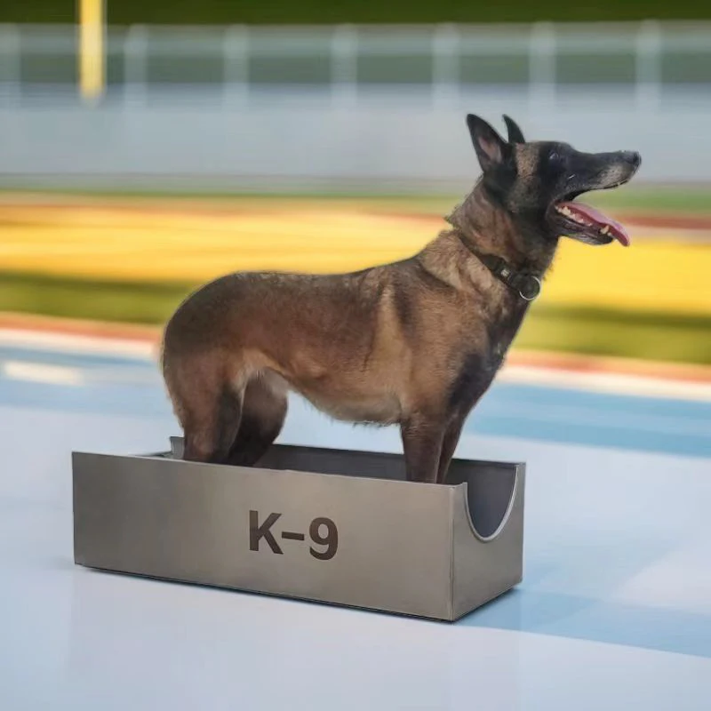 Dog Training Supplies Stainless Steel Basic Box Horse Dog German Shepherd Equipment Training Supplies Working Dog