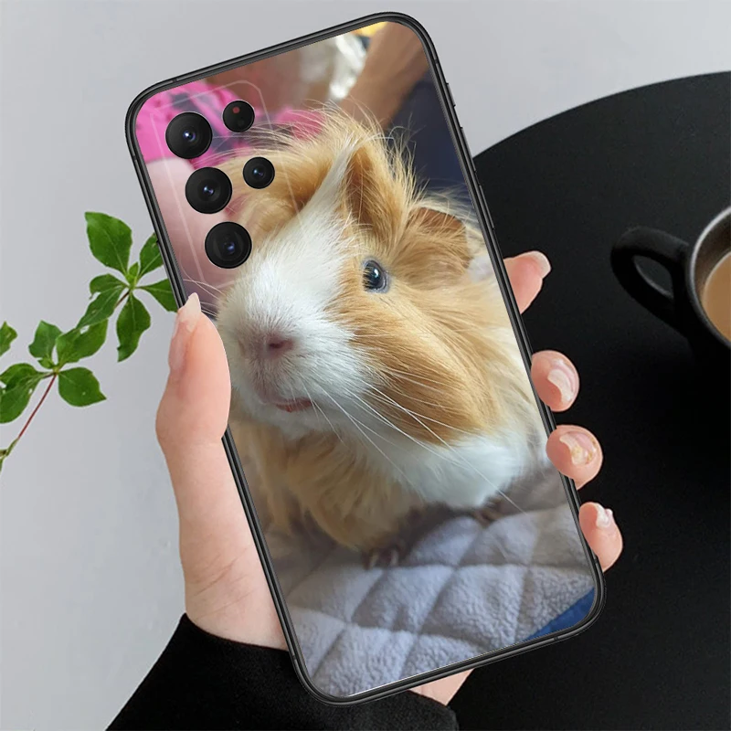 

Phone Case For Samsung A17 A55 A16 A56 A35 A15 A53 A54 A33 A34 A25 A05S A52S A07 A26 A06 A36 A22 A14 A71 A73 M34 M54 guinea pig