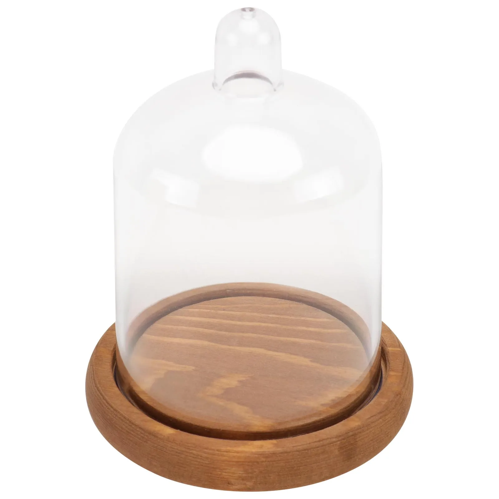 

Preserved Flower Ornament Eternal Immortal Cover Artificial Wood Bell Jar Container