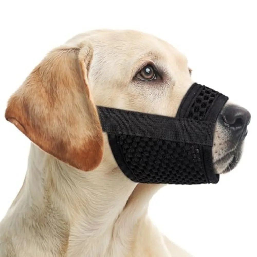 

Prevent Chewing Anti Bite Dog Mesh Muzzle Prevent Barking Breathable Dog Mouth Guard Soft Adjustable Puppy Grooming Sessions