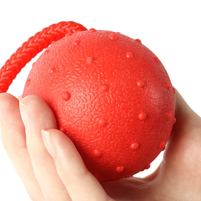 Thumbnail 3 - #55 Best Puppy Balls to Buy In 2026