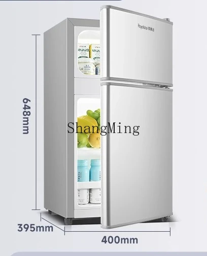 ZYY mini frigorifero a doppia porta singola a risparmio energetico per dormitorio in affitto per piccoli uffici domestici