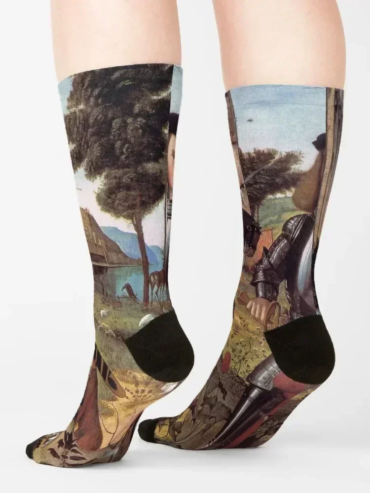 Portrait of a Medieval Knight by Vittore Carpaccio Socks kawaii christmas stocking Stockings FASHION Socks Female Men's
