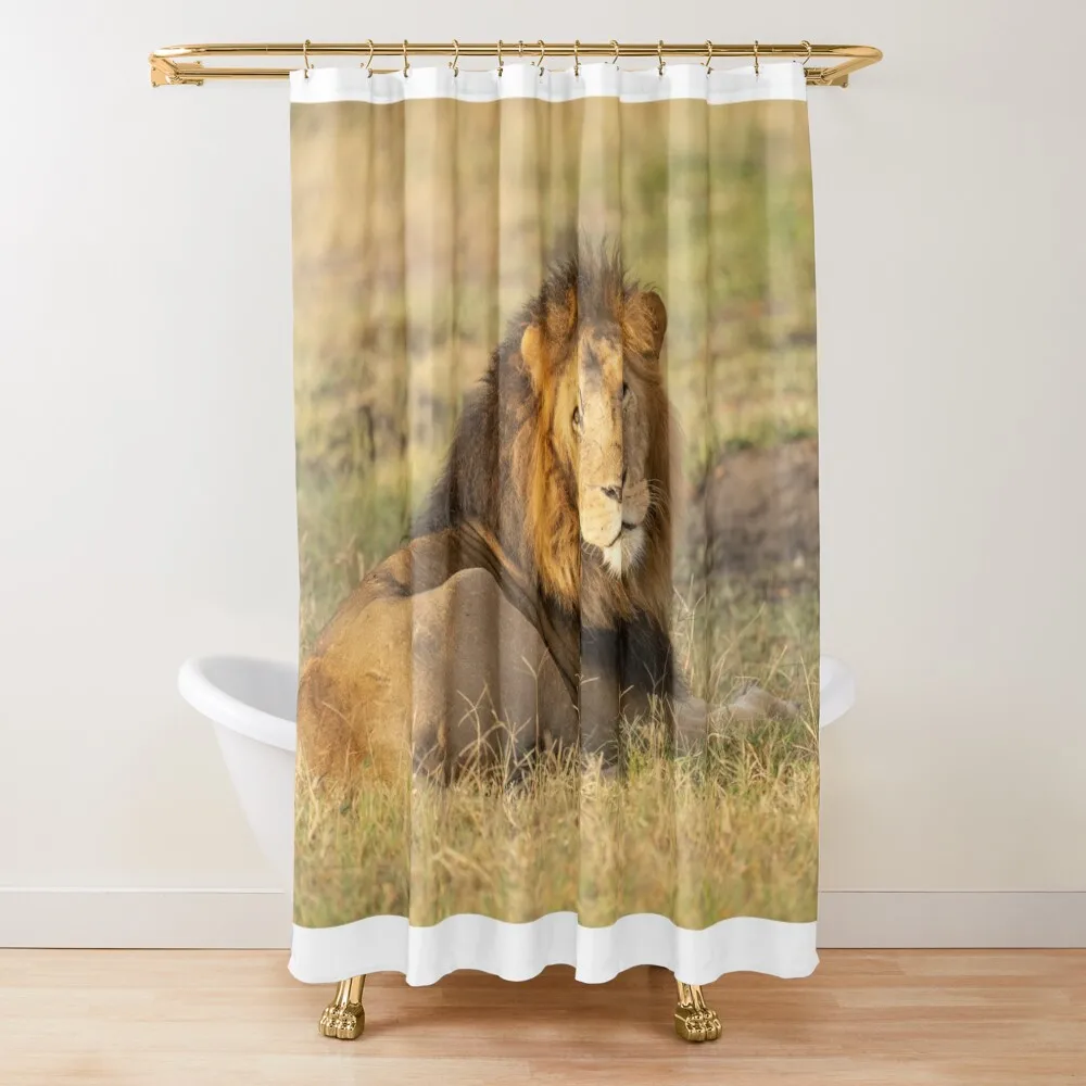 

Lion #2 Shower Curtain Funny Shower Shower Bath Bathroom Accessories For Bathrooms With Beautiful Designs Curtain