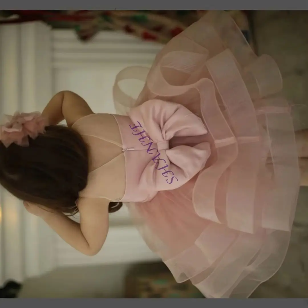 CustomizedLight Pink Flower Girl Dress Tulle Puffy Applique Pearls Knee Length Sleeveless Child's First Eucharistic Birthday Dre